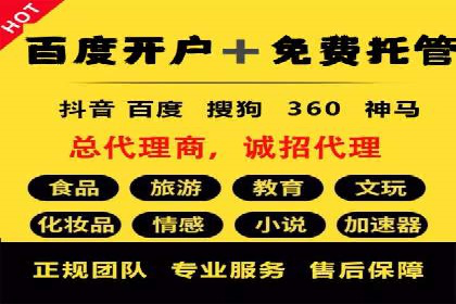 解析SEM投放策略：从经典案例看效果